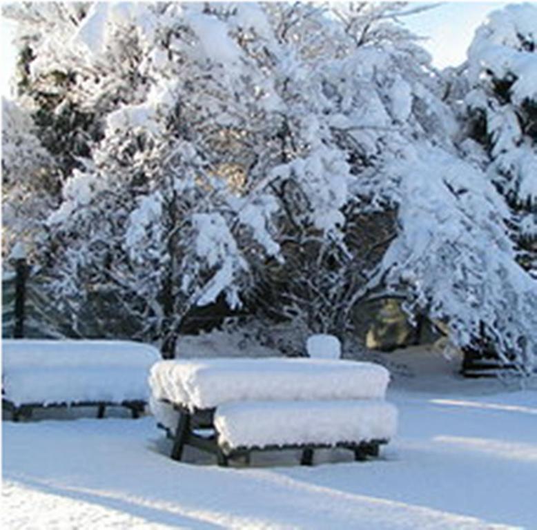 Jack In The Green Garden Rooms Hanmer Springs Buitenkant foto